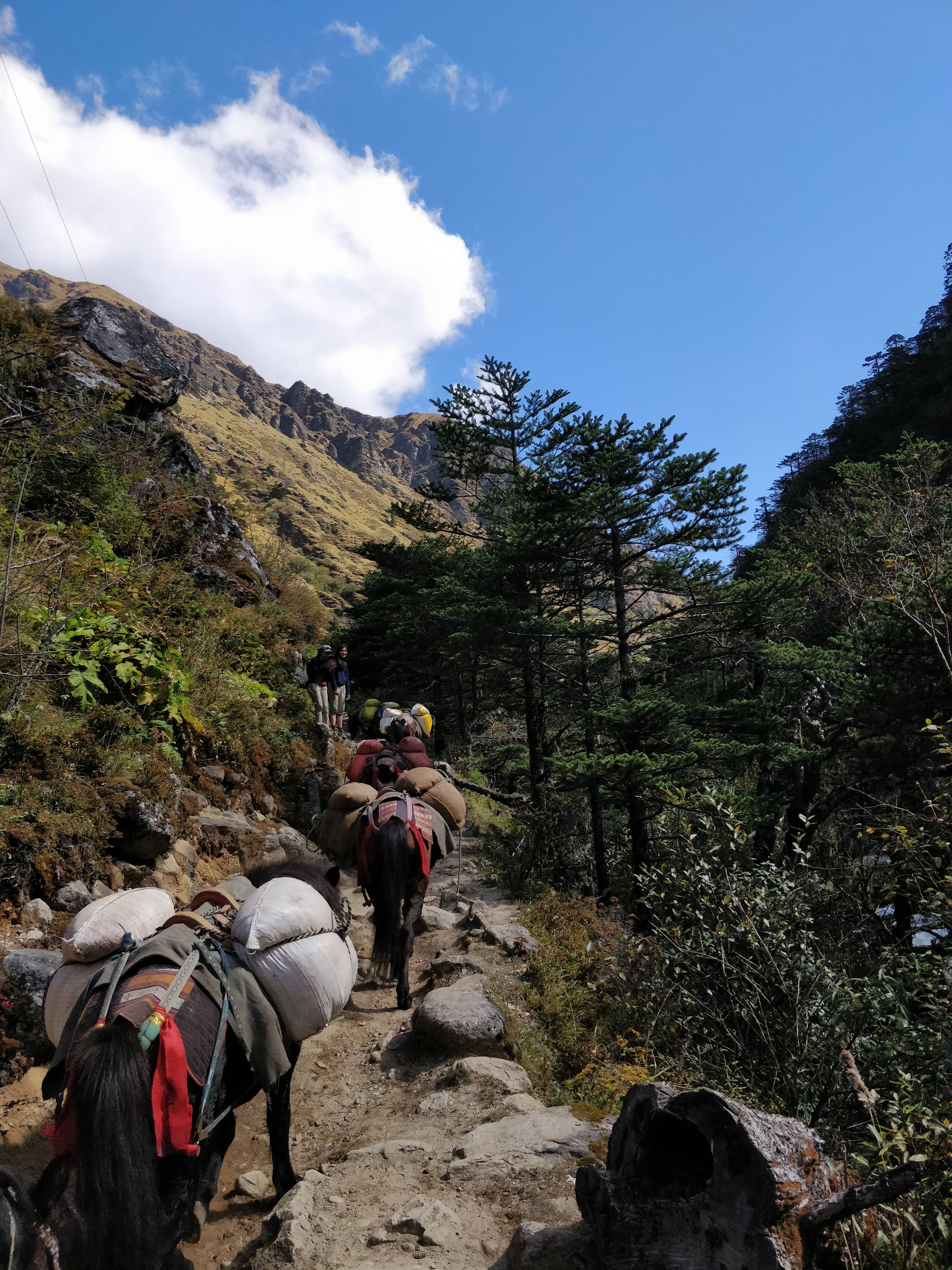 Bhutan mountain landscape with traditional architecture