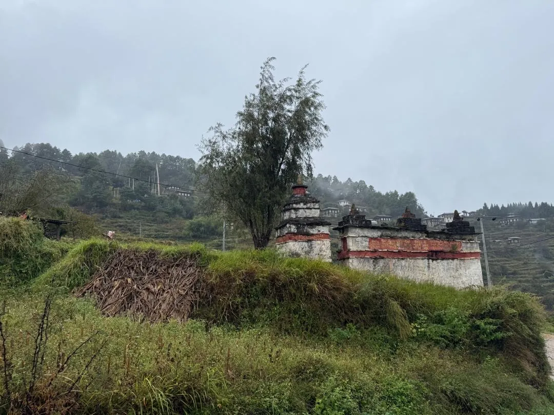 Bhutan Dzong Architecture Fortress