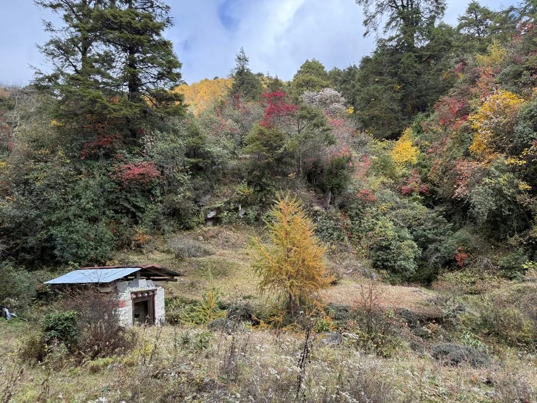 Bhutan Landscape Scenery Nature