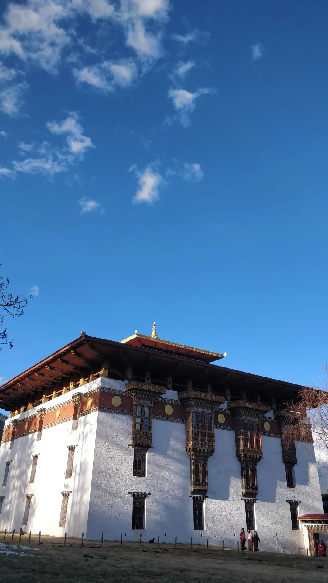 CRANE VALLEY ODYSSEY - Bhutan - 10 Days