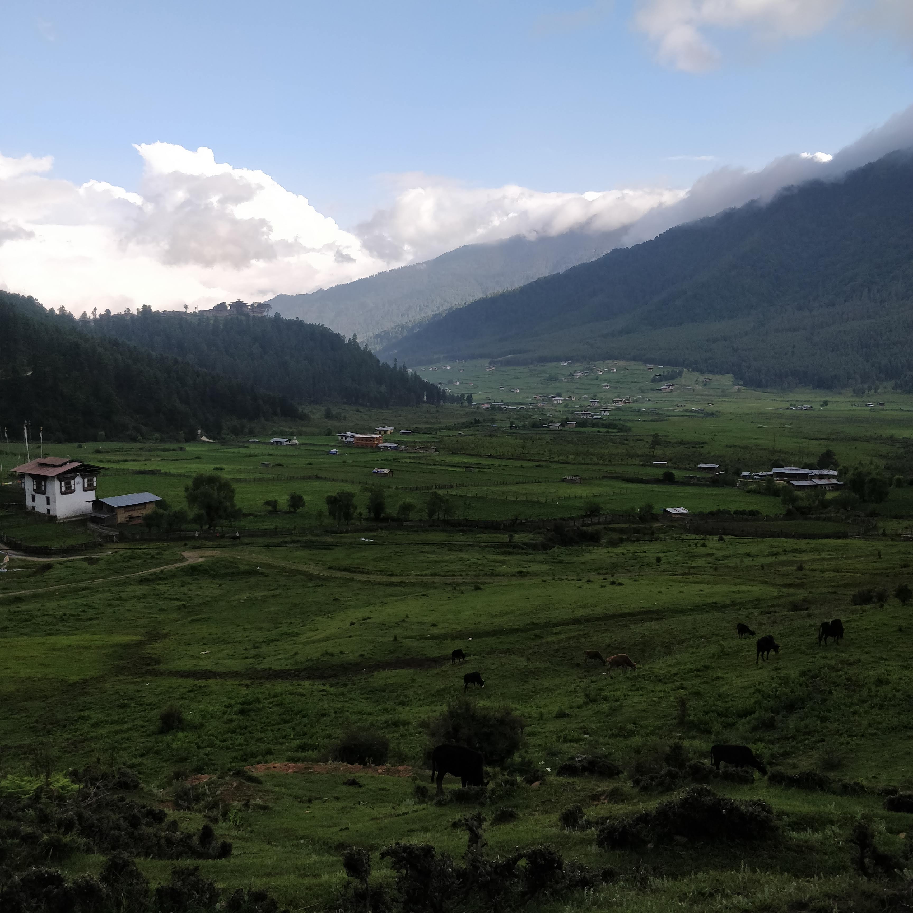 Phobjikha Valley