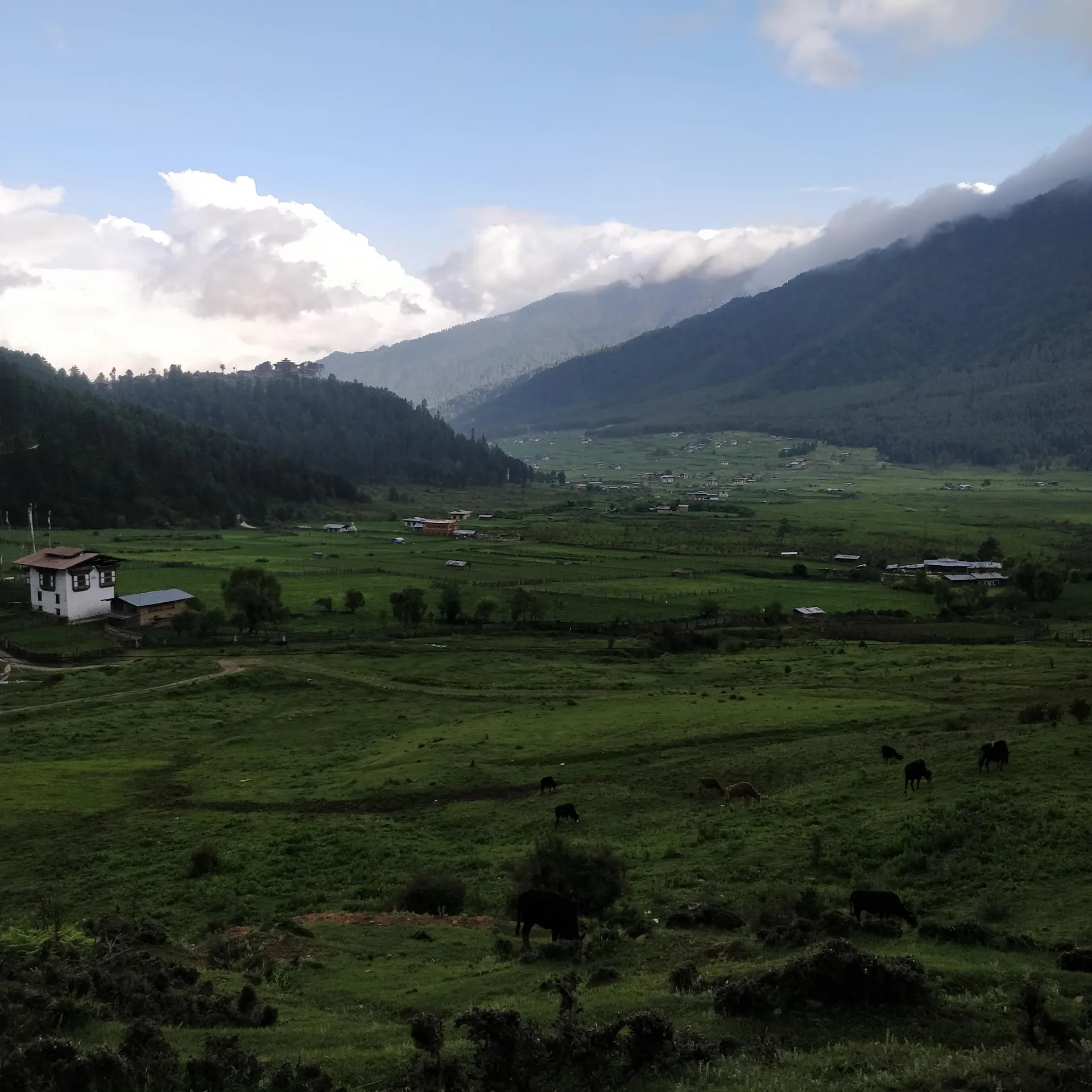 Phobjikha Valley